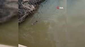 Bursa’da ayakkabı hırsızı önce ayakkabı numarasına baktı, sonra çaldı