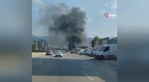 Bursa'da yunus balıklarının şovu kameralarda