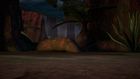 D S2E19 Towaconstrictors