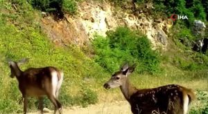 Bursa'da motosiklet sahibine bıçak çeken şüpheli adliyede