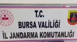 Bursa'da bayram tatilinde Karacabey sahilleri doldu taştı!