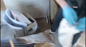 Atla markete giderken 'alkollü araç kullanmak 'tan ceza yedi!