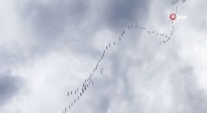 Bursa'da aynı noktada peş peşe kazalar!