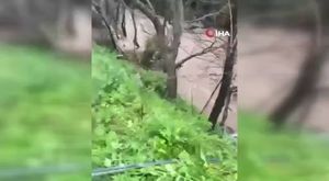 Bursa Büyükşehir Belediye Başkanı Mustafa Bozbey gözaltına alındı!