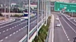 Bursa'da aç kalan tilkiyi cipsle beslediler