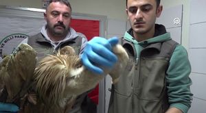 Adıyaman'da enkaz başında hırsızlık anı kameraya yansıdı