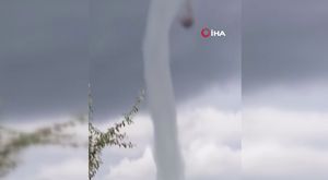  Mersin’de horoz dövüşü operasyonu