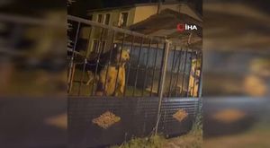 Bursa’da 100 bin konutluk kentsel dönüşüm