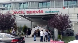 İşte Yaren leyleğin yavruları