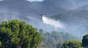 180 milyonluk sazan sarmalı operasyonu: 32 gözaltı