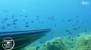 Bodrum Grida Zıpkınla Balık Avı 2017 - 25 metre 