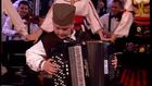Serbian Folk - Sirpski Folk i Pjesma -Harmonikas Sumadinac