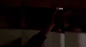 {3556B207-0AF9-400F-8B7F-976175B72023}