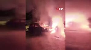 Bursa'da kuvvetli fırtına ortalığı adeta savaş alanına çevirdi! Ağaçlar devrildi, çatılar uçtu...