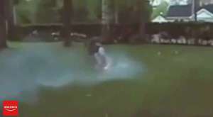 Siyasetçilerin komik Vinelerı || Politicians funny videos 