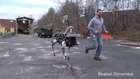 bu yeni robot-köpekler efsane! - Robot teknolojisi nereye gidiyor?