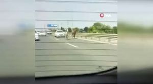 Narin’in tabutuna bırakılan duvak yürekleri dağladı