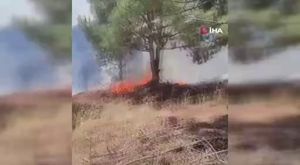 Bursa'da kısıtlamanın başlamasının ardından iki farklı kaza!