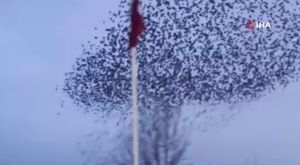 Bursa’da 15 Temmuz şehitleri törenle anıldı