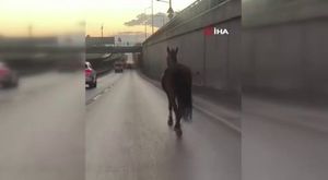 Bursa'da 40 derecede 'Santa Maria' hasadı!