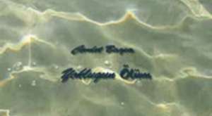 www.seslinese.com
