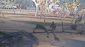 Bursa'da 'Hüdavendigâr Osmangazi Camii' dualarla ibadete açıldı