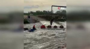 Bursa Uludağ'da dev karınca yuvaları görenleri şaşırtıyor