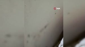Kendi kazalarını böyle kaydettiler