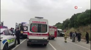 Mersin'de bir sapık tavuğa tecavüz ederken görüntülendi