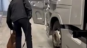 KOVANLARINI KİREÇLE KORUYORLAR