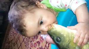 Bebeğin Balık Aşkı