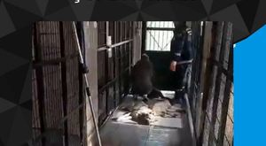 Bursa'da kırmızı ışıkta geçen tır, faciaya davetiye çıkardı