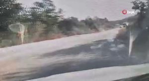 Altıparmak ortak akılla dönüşecek