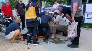 Bursa'da yunus balıklarının şovu kameralarda