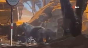 Bursa’da bahar beklenirken kar sürprizi: Bir ilçe beyaza büründü...