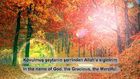 Al-i Imran 133-136 - Ramazan Alparslan (HD)