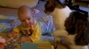 Cute Cats and Dogs Love Babies Compilation 2014