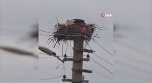 Boşanma aşamasında olduğu eşinin evine kurşun yağdırdı