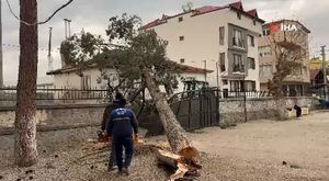 24 yıl hapis cezasıyla aranan şahıs Bursa'da yakalandı!