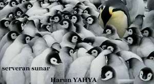 GORA - Engin Günaydın UFO sahnesi