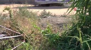 Bursa'da kaçan koyun trafiği alt üst etti!