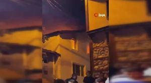Başıboş atlar Bursa'da yollarda fink atıyor!
