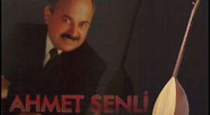 Özledim - Ahmet Şenli