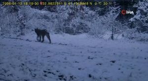 Depremin kahramanları...Böyle yetiştiriliyorlar