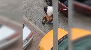 Bursa’da sığırcık kuşlarının dansı hayran bıraktı