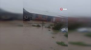 17 gündür kayıp olan 16 yaşındaki kızını bulmak için sokak sokak dolaşıyor