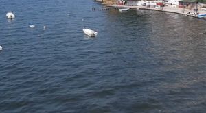 ARNAVUTKÖY’DE İETT OTOBÜSÜ KAYGAN YOLDA KONTROLDEN ÇIKTI
