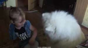 Wolf dog sings to soothe crying baby