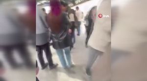 Marmara Denizi'nde su samuru böyle görüntülendi