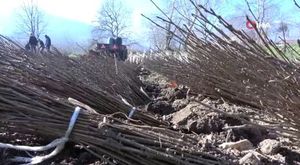 Bursa'da hurdacıda yangın